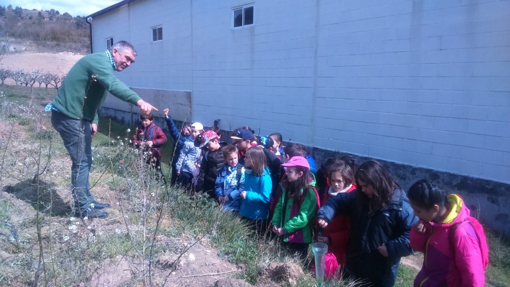 Visitas Escolares al Valle