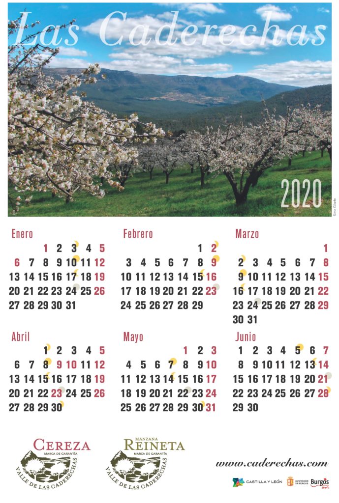 Calendario 2020