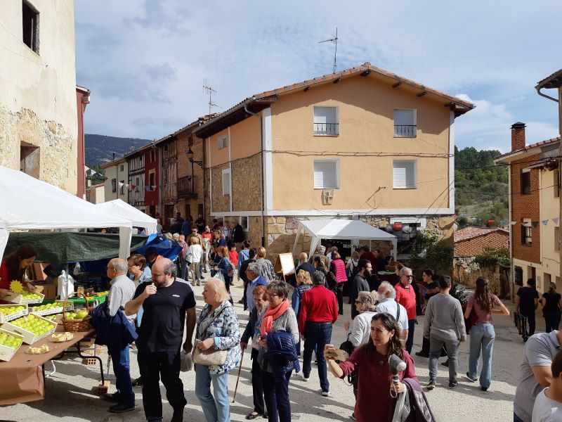 La X Feria de la manzana reineta será virtual