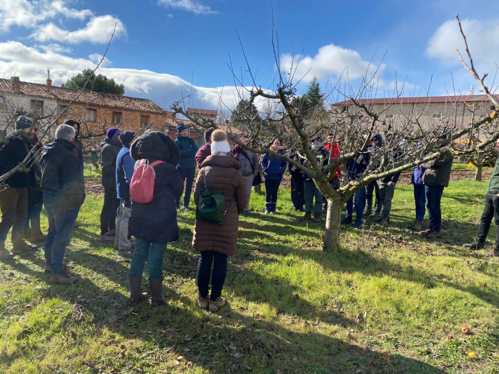 RESULTADOS DE LA JORNADA DE FRUTICULTURA SOSTENIBLE VALLE DE LAS CADERECHAS