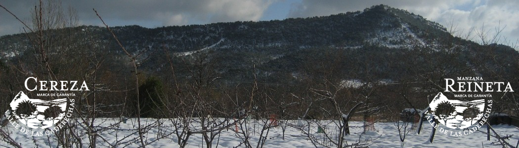 caderechas_invierno