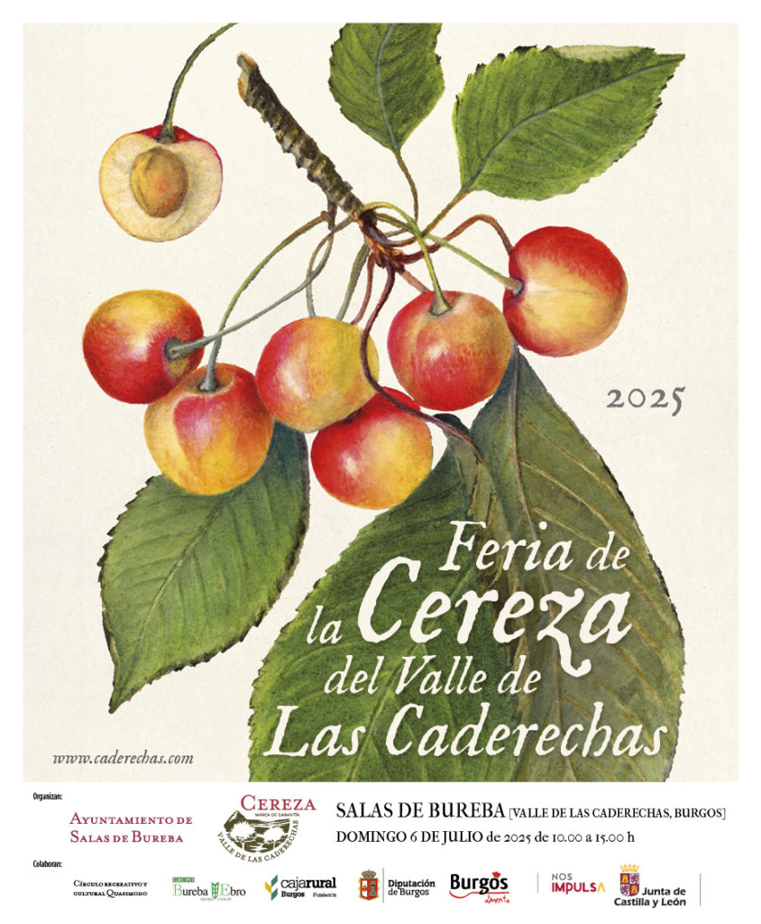 FERIA DE LA CEREZA DEL VALLE DE LAS CADERECHAS 2025