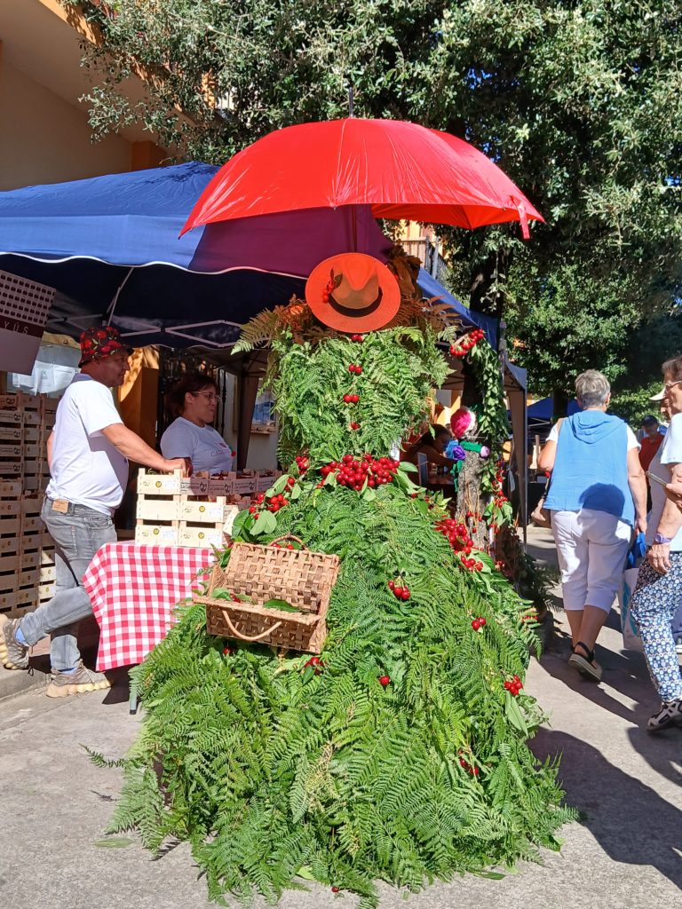 LA FERIA DE LA CEREZA 2026 EN IMÁGENES